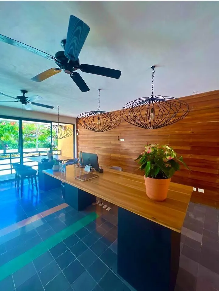 Апартаменты Lujoso Departamento En El Corazon De Playa Плая-дель-Кармен